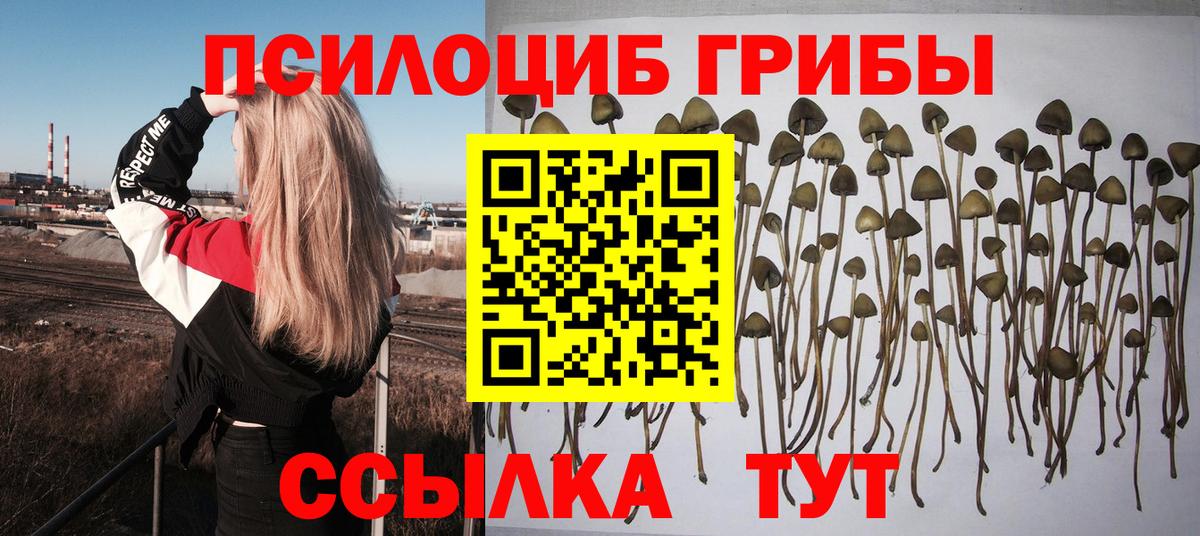 Галлюциногенные грибы MAGIC MUSHROOMS Новотроицк